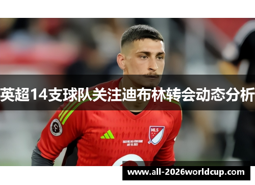英超14支球队关注迪布林转会动态分析