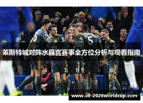 莱斯特城对阵水晶宫赛事全方位分析与观看指南